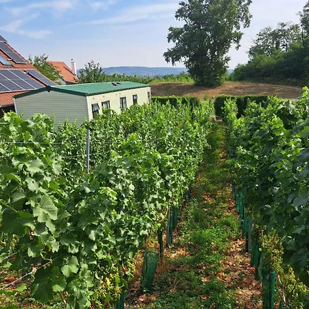 Дом отдыха Mobilheim